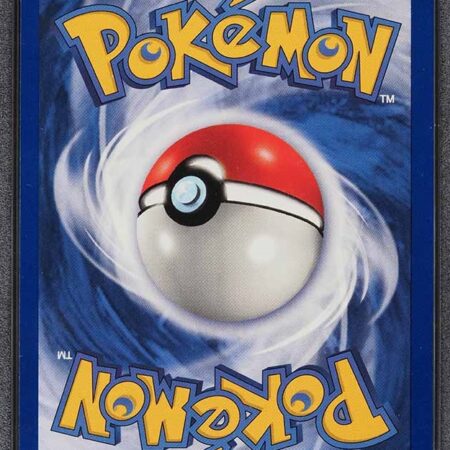 Pokemon Gruppiertes Produkt